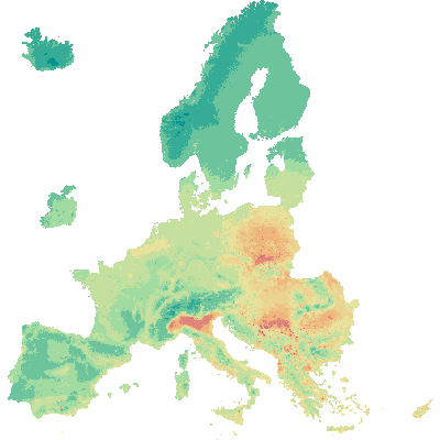 Export Image